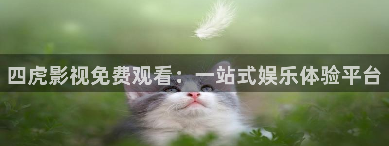 桔子视频下载app：四虎影视免费观看：一站式娱乐体验平台