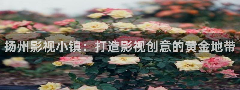桔子视频在线观看：扬州影视小镇：打造影视创意的黄金地带