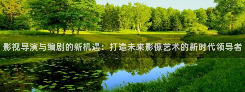 桔子的营养：影视导演与编剧的新机遇：打造未来影像艺术的新时代领导者