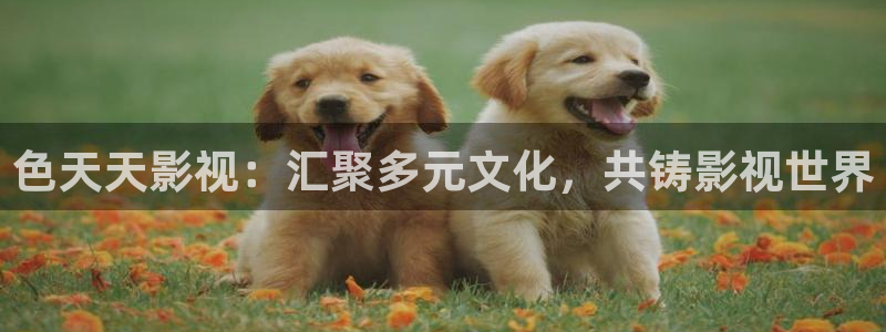 农村桔子最新视频播放：色天天影视：汇聚多元文化，共铸影视世界