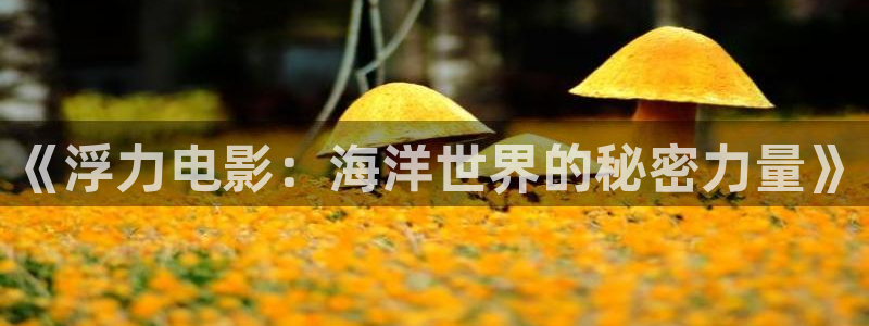 桔子免费在线视频