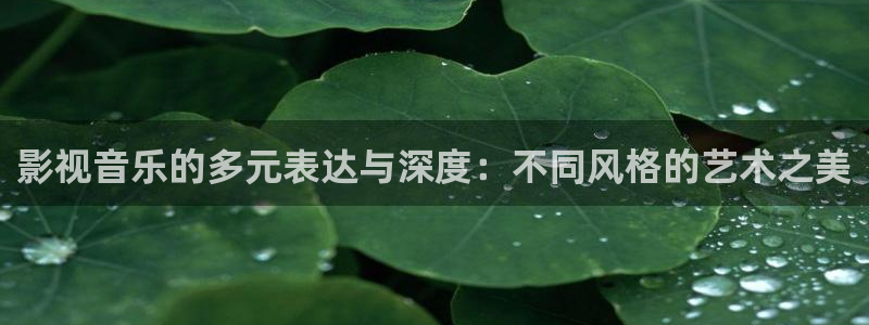 桔子视频精品