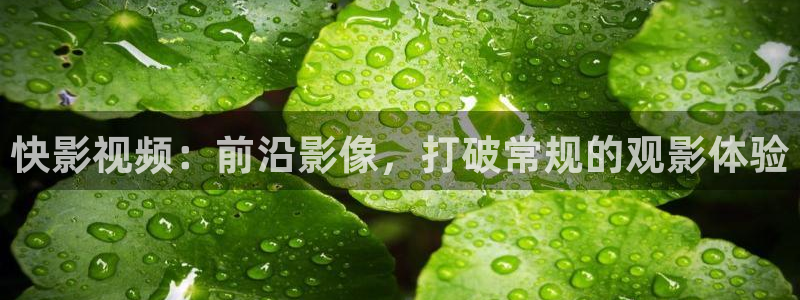 桔子培训：快影视频：前沿影像，打破常规的观影体验