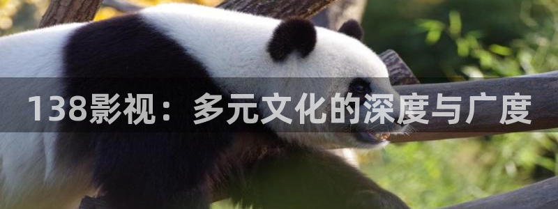 桔子美食视频：138影视：多元文化的深度与广度