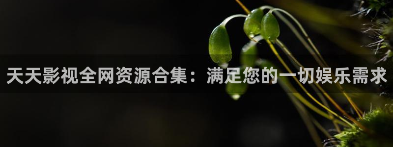 桔子视频网页版